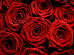 Enhance Your Bouquet